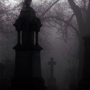 Meet your Posher, Natasha